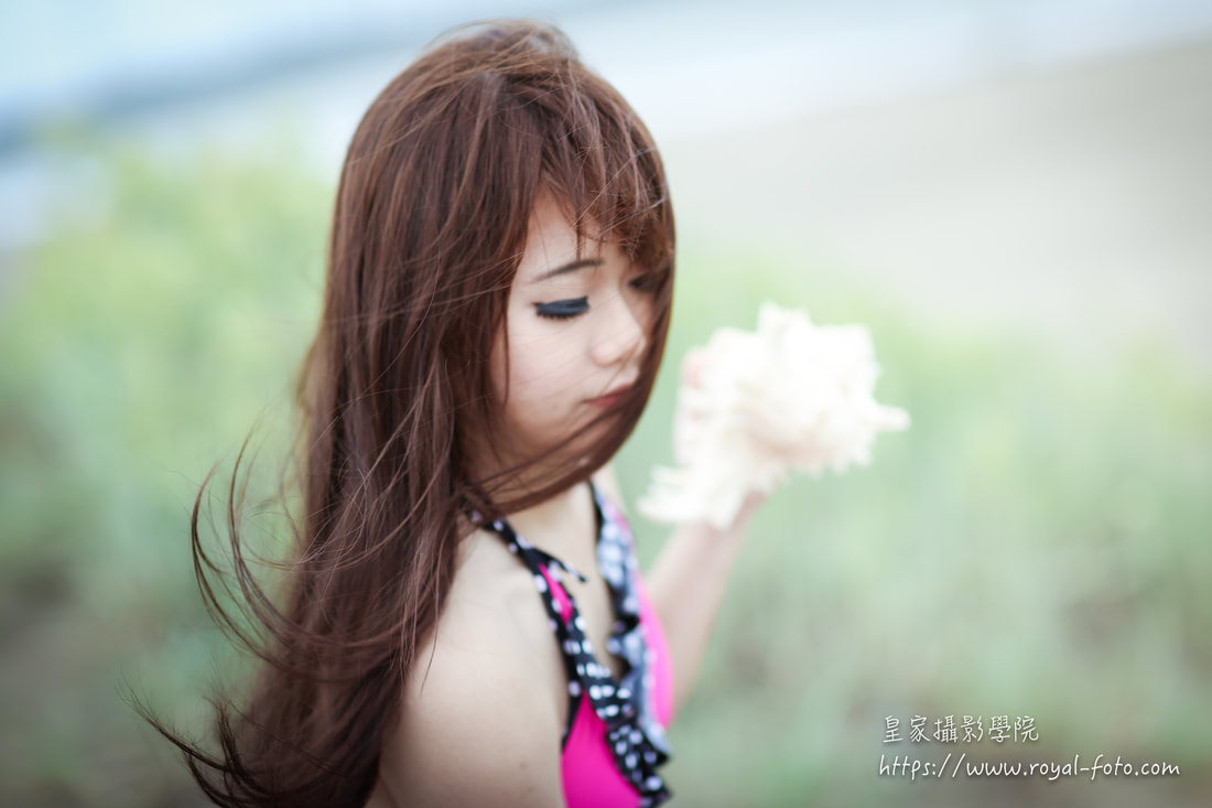 Picture